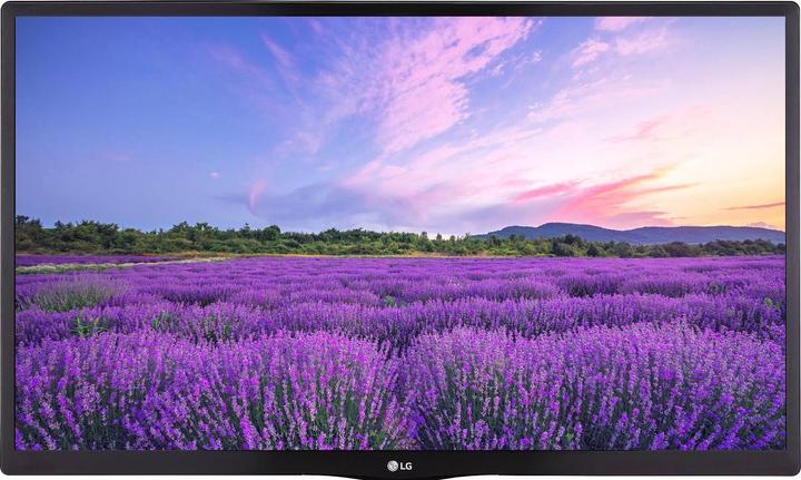 Actual product image LG Hotel TV 24LN662V (24", LED, WXGA, 2023)