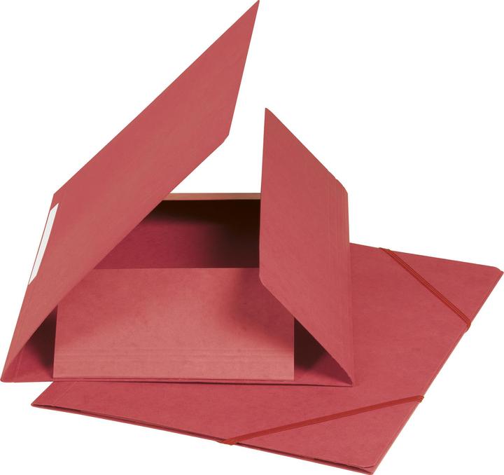 Actual product image Biella elastic folder (A4, 1 x)