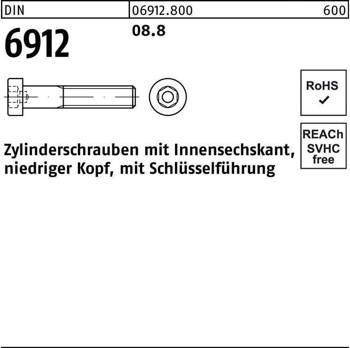 Actual product image Cheese head screw DIN 6912 with hexagon socket M 12 x 20 8.8 (100 Screws per piece)
