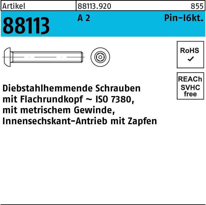 Image du produit Vis R 88113 antivol, à tête cylindrique. 6 pans creux Tourillon M 10 x 30 A 2 (100 Vis par pièce)