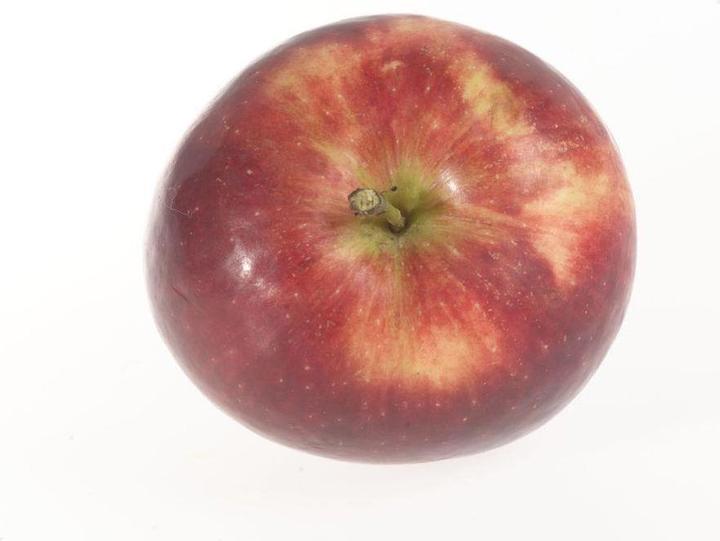 Immagine prodotto Lubera Due meli colonnari per la vasca