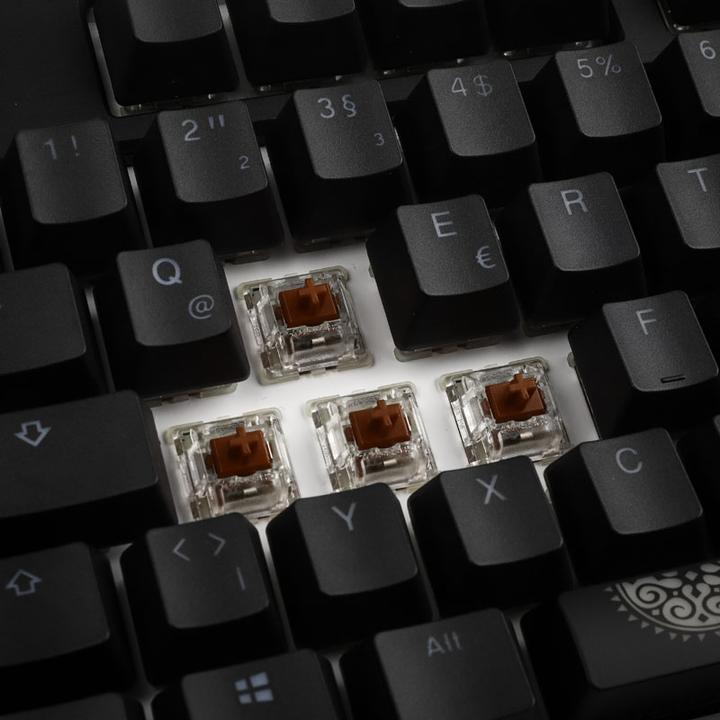 Actual product image Ducky Shine 7 PBT (DE, Cable)