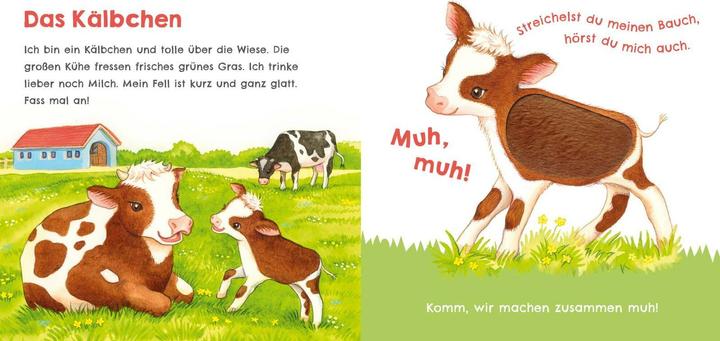 Immagine prodotto Hör mal, wie ich schnattern kann (Mein erstes Streichel-Soundbuch 1) (Tedesco)
