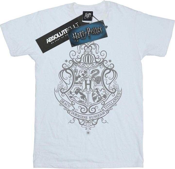 Image du produit - T-shirt HOGWARTS DRACO DORMIENS CREST - Homme (XXL)