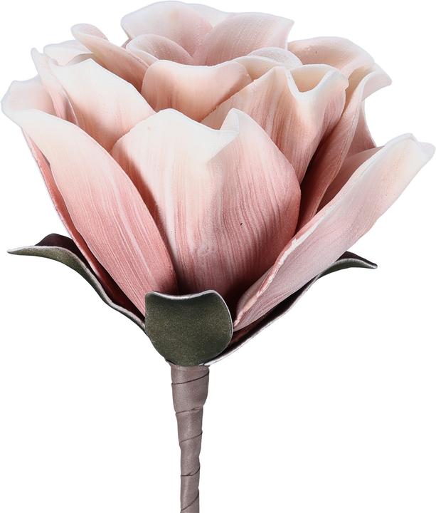 Actual product image EGLO LIVING Molave (65 cm)