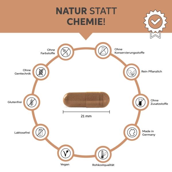 Image du produit Eltabia Cannelle biologique en gélules 100 (100 pièce(s), Capsules)
