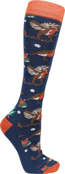 Image du produit Hy Fashion - Chaussettes RUBY THE ROBIN - Femme (Lot de 3, 34 - 37)