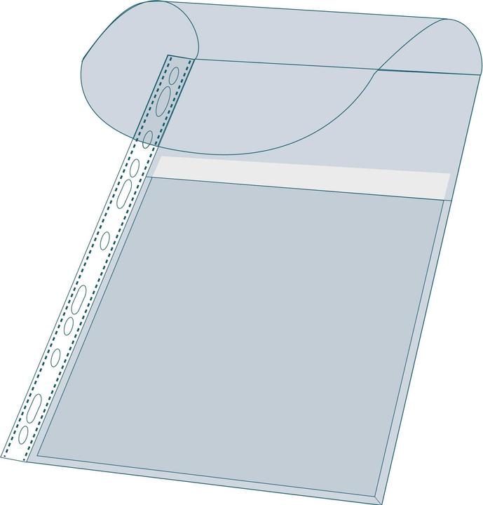 Immagine prodotto Exacompta Canguro A4 Tasca espositiva, trasparente (A4, 10 x)