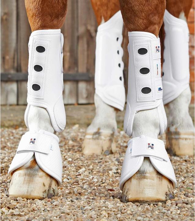 Premier Equine tinchiere anteriori per cavalli carbon tech air cooled