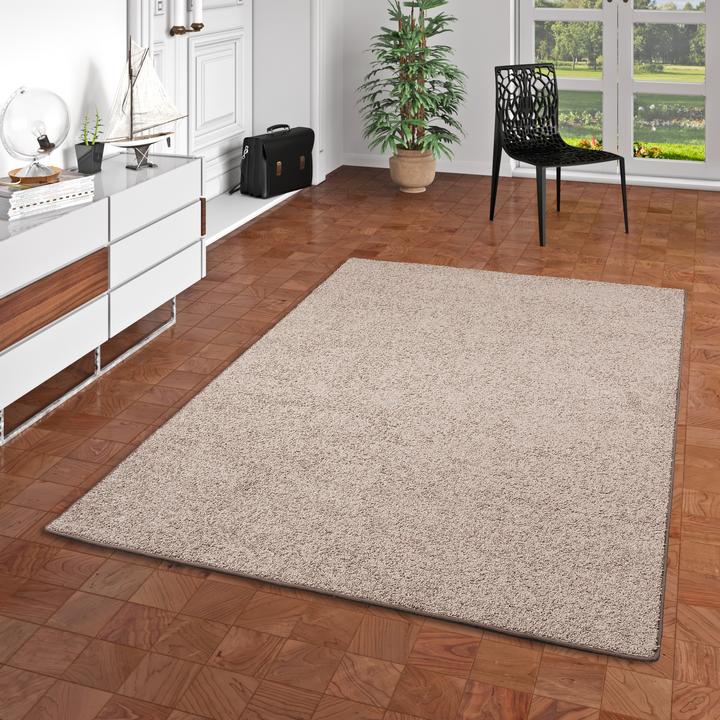 Produktbild Snapstyle Hochflor Velours Teppich Mona (80 x 200 cm)