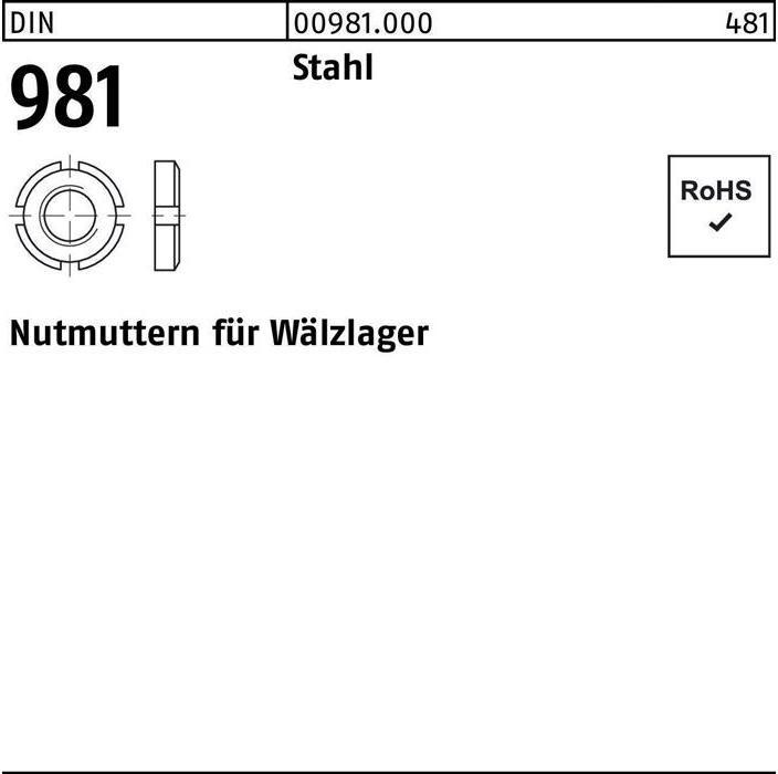 Actual product image DIN 981