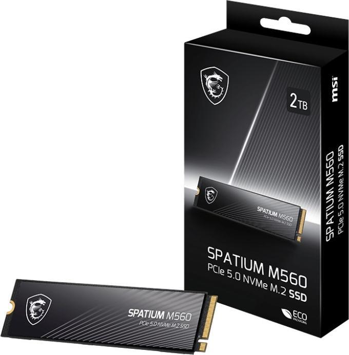 Actual product image MSI 1TO M.2 NVME GEN5 - SPATIUM M560 (1000 GB, M.2 2280)