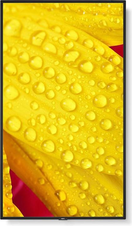 Actual product image Sharp M431-2 43IN UHD 500CD/SQM (3840 x 2160 Pixels, 43")