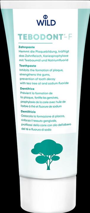 Produktbild Tebodont Teebaumöl (75 ml)