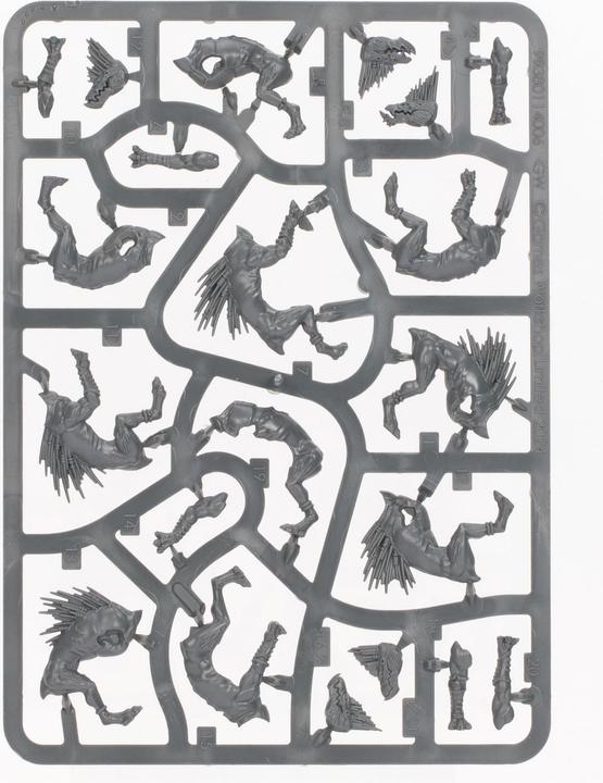 Actual product image Games Workshop Kroot Hounds (2024) (Plastic)