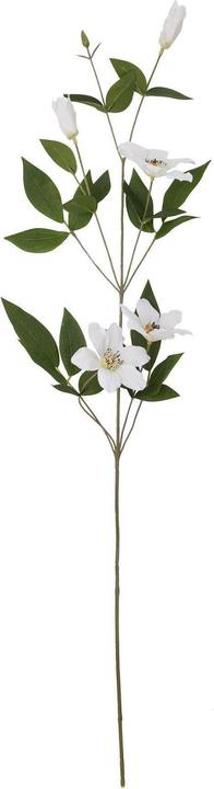 Immagine prodotto Hill Interiors Clematide della Florida Fiore Artificiale (77 cm)