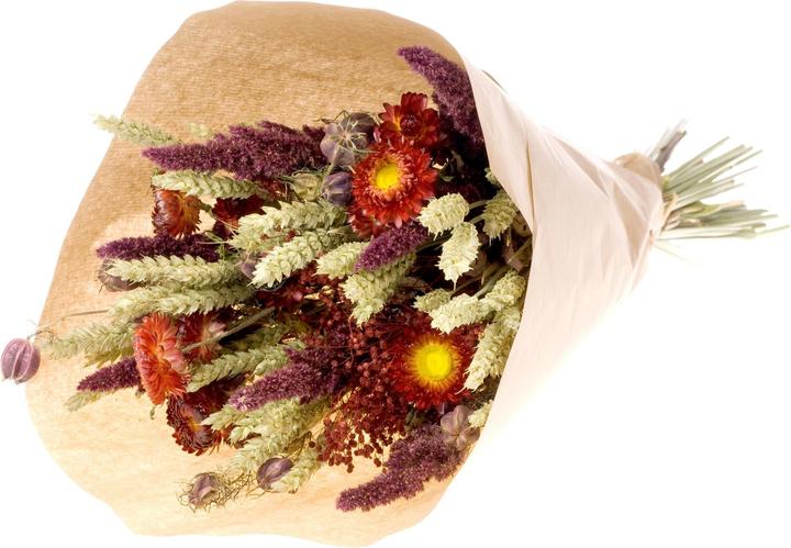 Image du produit Anjel Ashley (Fleurs séchées)
