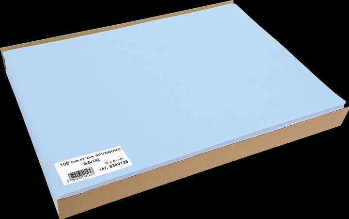 Exacompta Tischset (1 Stk., 30 x 40 cm)