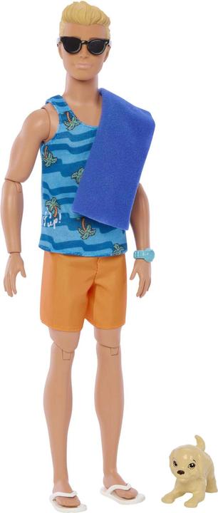 Actual product image Barbie Ken Surfer Doll & Accy