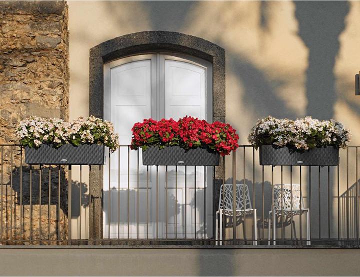Immagine prodotto Lechuza Balconera Cottage (19 cm)