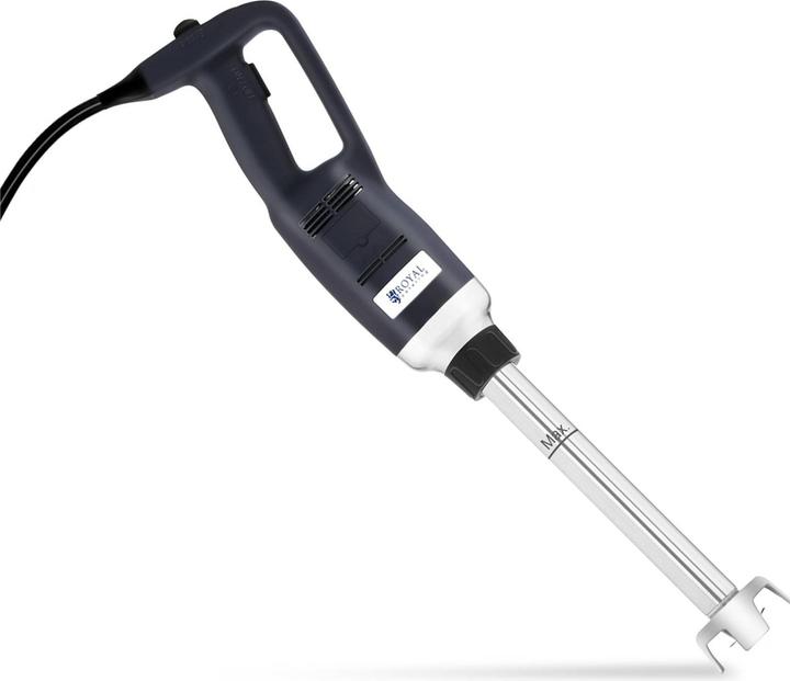 Actual product image Royal Catering Stick Blender - mixer with immersion blender - 16,000 rpm - 350 W