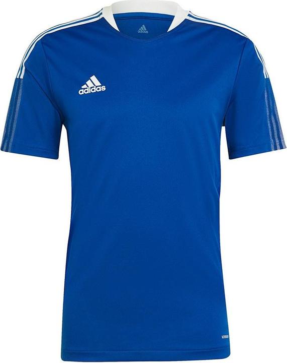Actual product image adidas Tiro 21 Training Jersey (M)