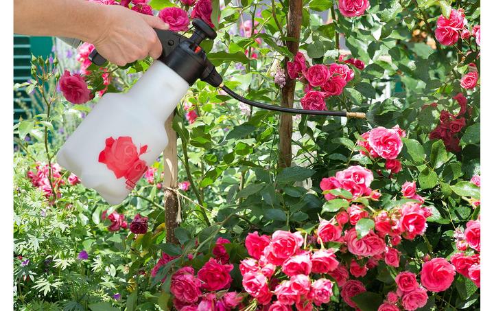 Produktbild Birchmeier Rose Star 1.25 (1.25 l)