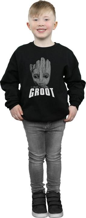 Produktbild Guardians Of The Galaxy Groot Face Sweatshirt Jungen (152, 158)