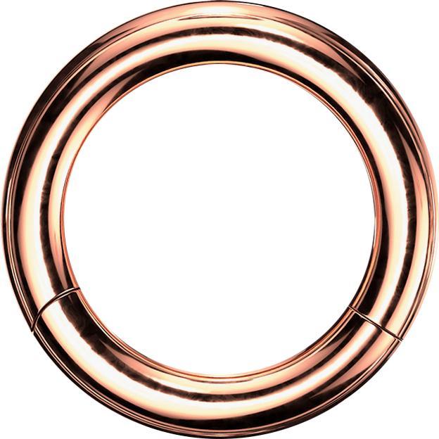 Actual product image Star Piercing Segment ring hinged rose gold (Surgical steel 316L, without brass)