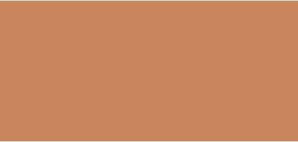 Immagine prodotto Bobbi Brown Skin Long-Wear Concealer Stick & Corrector Stick (Pesca Profonda)