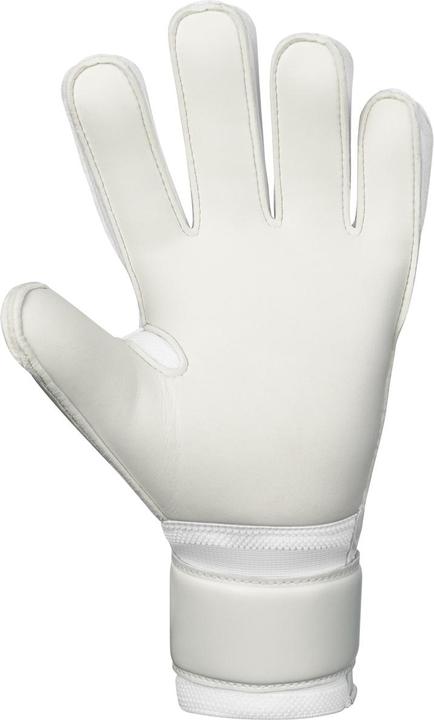 Immagine prodotto JAKO Guanto TW Animal Basic RC (9)