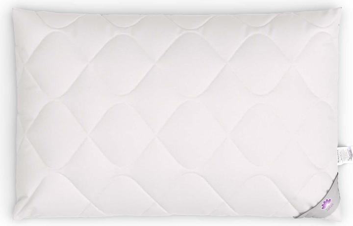 Immagine prodotto Lotus Bettwaren Loto (65 x 100 cm)