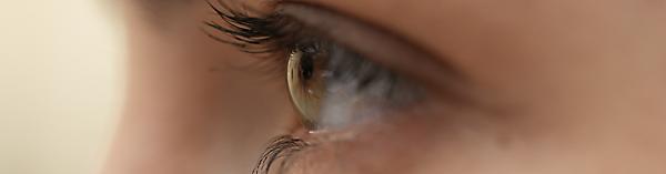 Actual product image Sony FE 70-200mm f/4 Macro G OSS II (Sony E, APS-C / DX, full size)