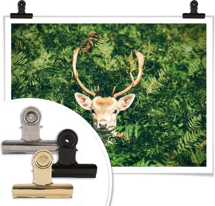 Actual product image Trenddeko Hide and seek in the forest (50 x 40 cm)