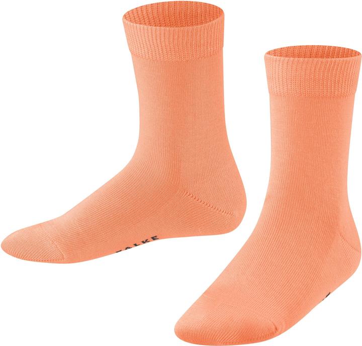 Cantalupo