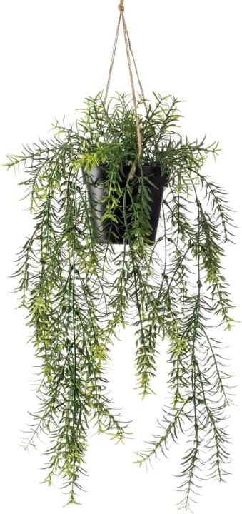 Actual product image Emerald Kunstpflanze (50 cm)