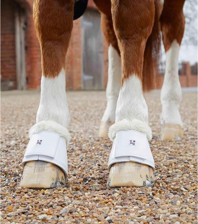 Produktbild Premier Equine Carbon Tech Techno Wool Over Reach