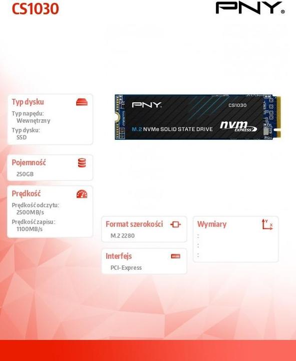 Actual product image PNY CS1030 (250 GB, M.2 2280)