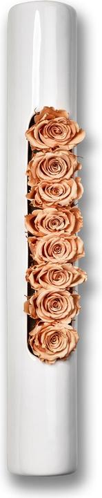 Actual product image Flowerbox Roses in Ceramic Infinity Bloom Tube (Infinity Flowers)