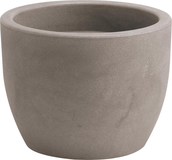 Immagine prodotto Giarnaldo Hera (50 cm)