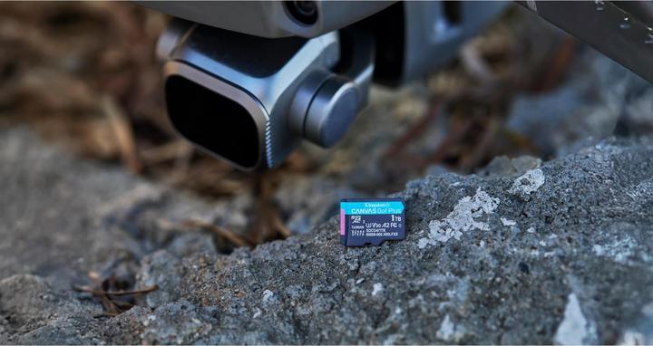 Image du produit Kingston Card Canvas Go Plus MicroSD 1TB (1000 Go, microSDXC, U3, UHS-I)