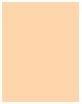 Image du produit Sisley Phyto-Teint Nude (0W Porcelaine)