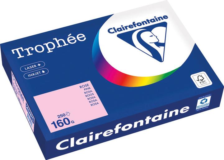Immagine prodotto Clairefontaine Carta universale Trophée colorata (160 g/m², 250 x, A4)