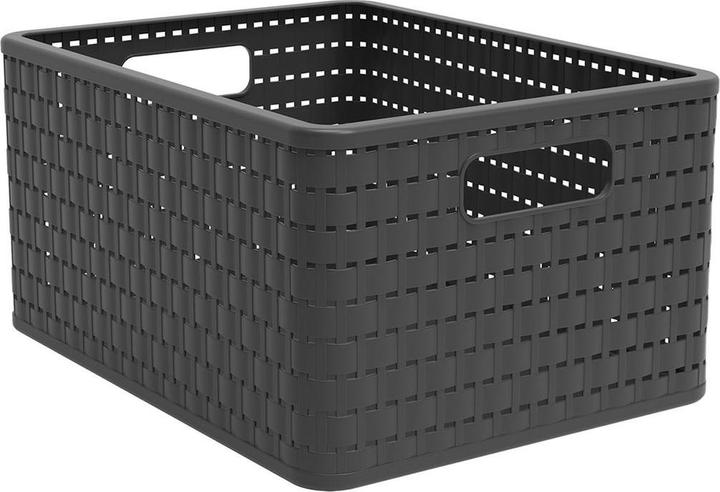 Image du produit Rotho Pays (1 x, 37 x 28 x 19 cm)