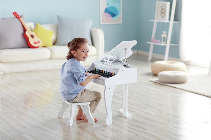 Actual product image Hape Luxury wings