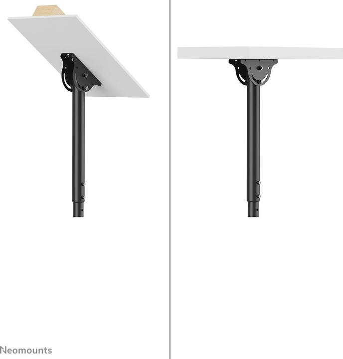 Actual product image Neomounts Ceiling mount (Ceiling, 60")