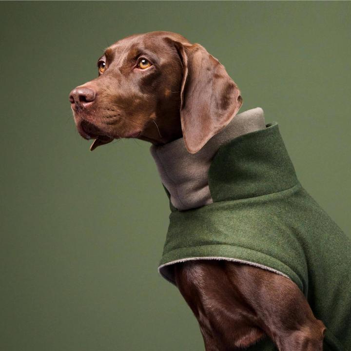 Actual product image Cloud 7 Dog Coat Brooklyn (4, Dog coat)
