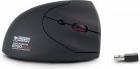 Image du produit ERGO MOUSE 1600 DPI WIRELESS (Sans fil)