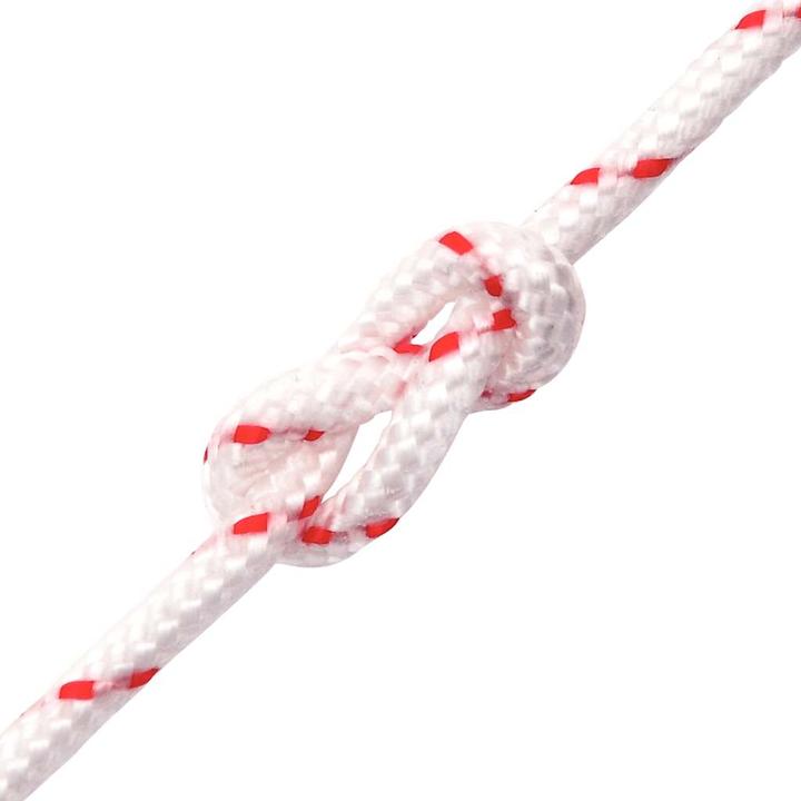 Produktbild VidaXL Starterseil und Ø5 mm 10 m Nylon (10 m)