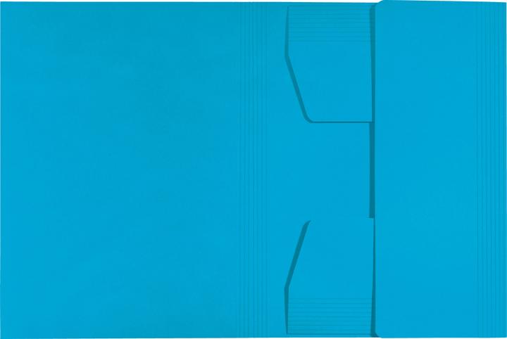 Actual product image Leitz Inlay Folder Juris Folder A4 Blue (A4, 1 x)